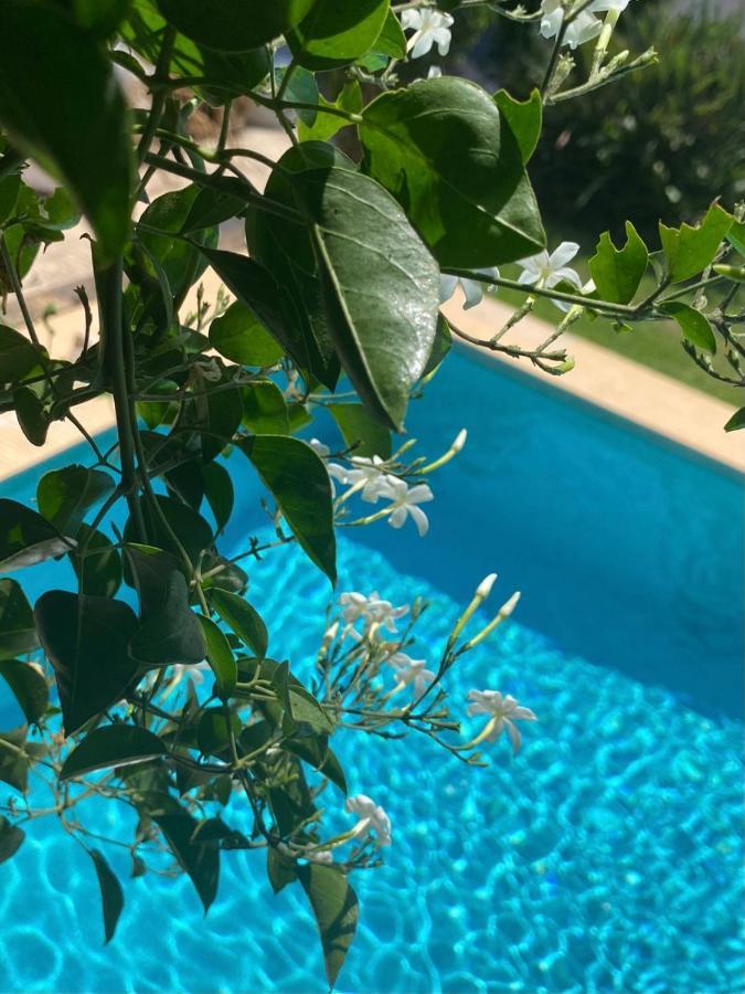 Beautiful Villa With Pool, Barbecue, And Garden 哈维亚 外观 照片